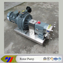 Sanitary Positive Displacement Rotor Pump